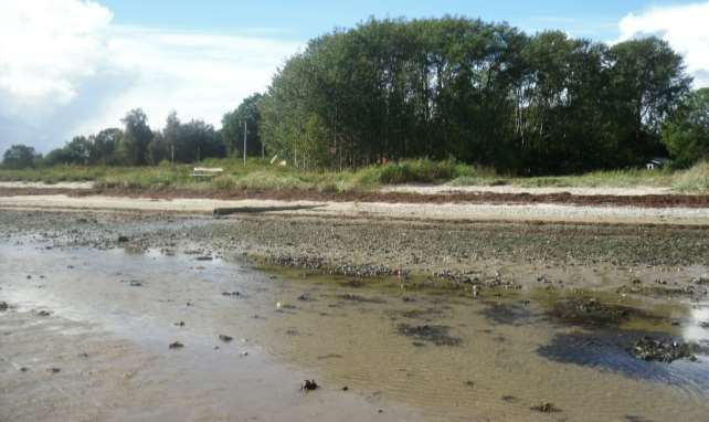 Knud Strand
