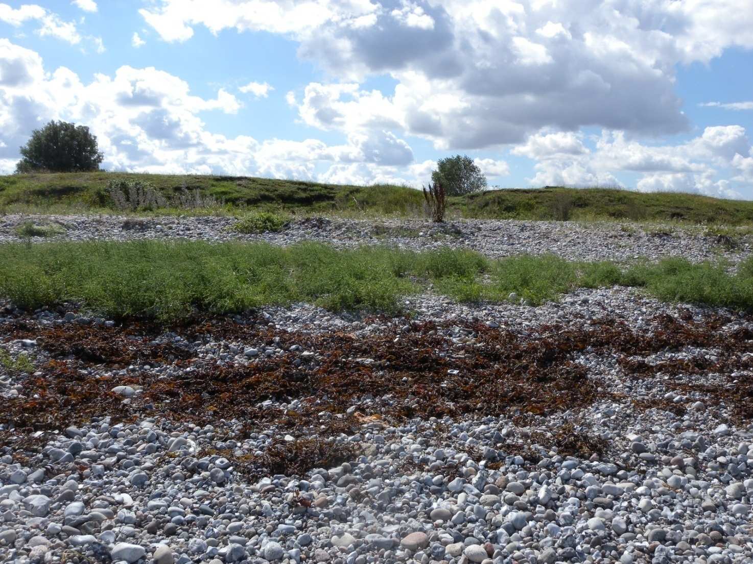 Måle Strand