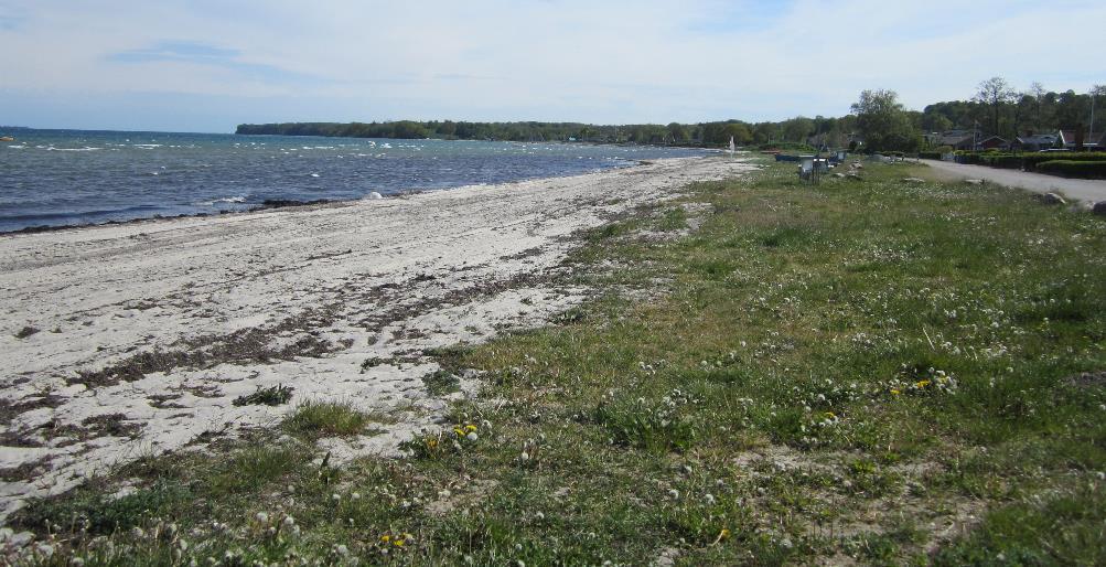 Binderup Strand