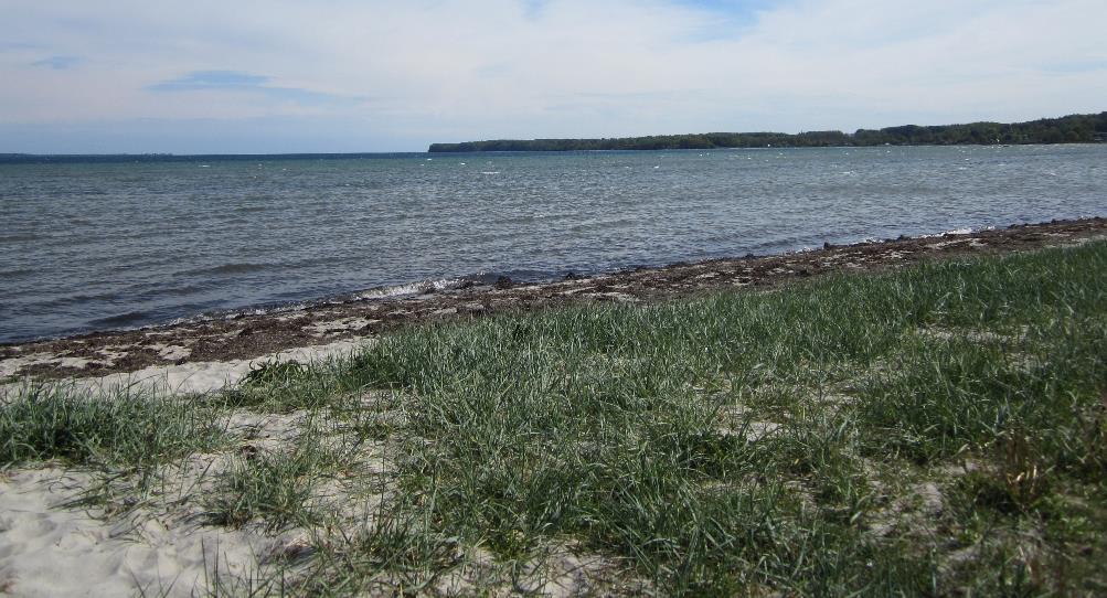 Fristrand