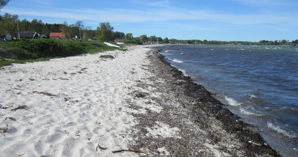 Grønninghoved Strand Nord