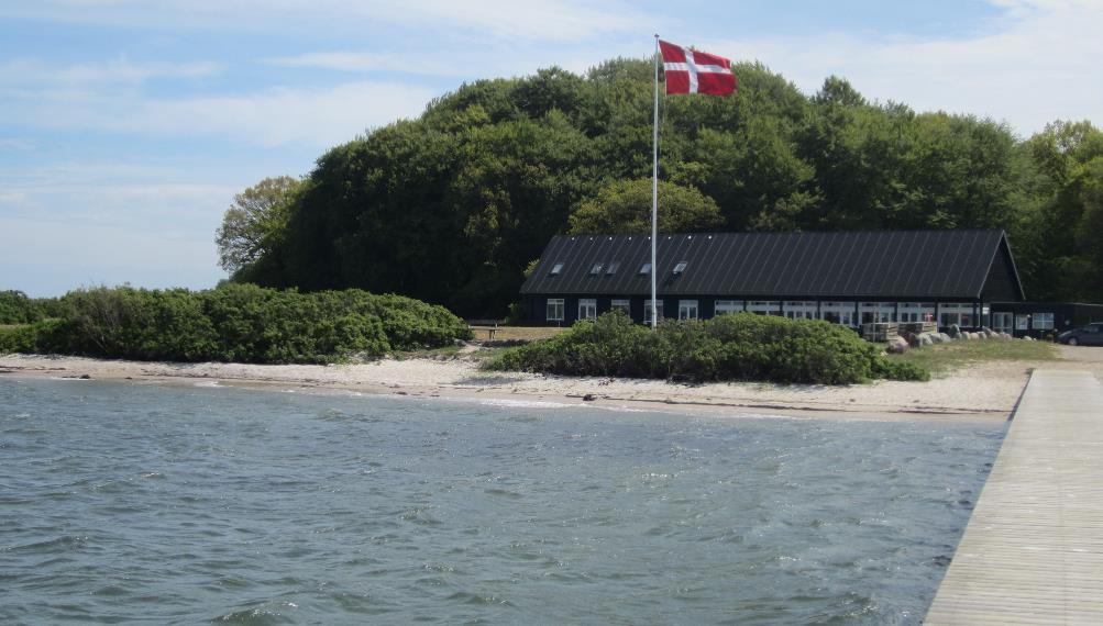 Løverodde