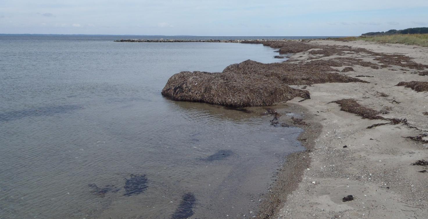 Åsø Strand