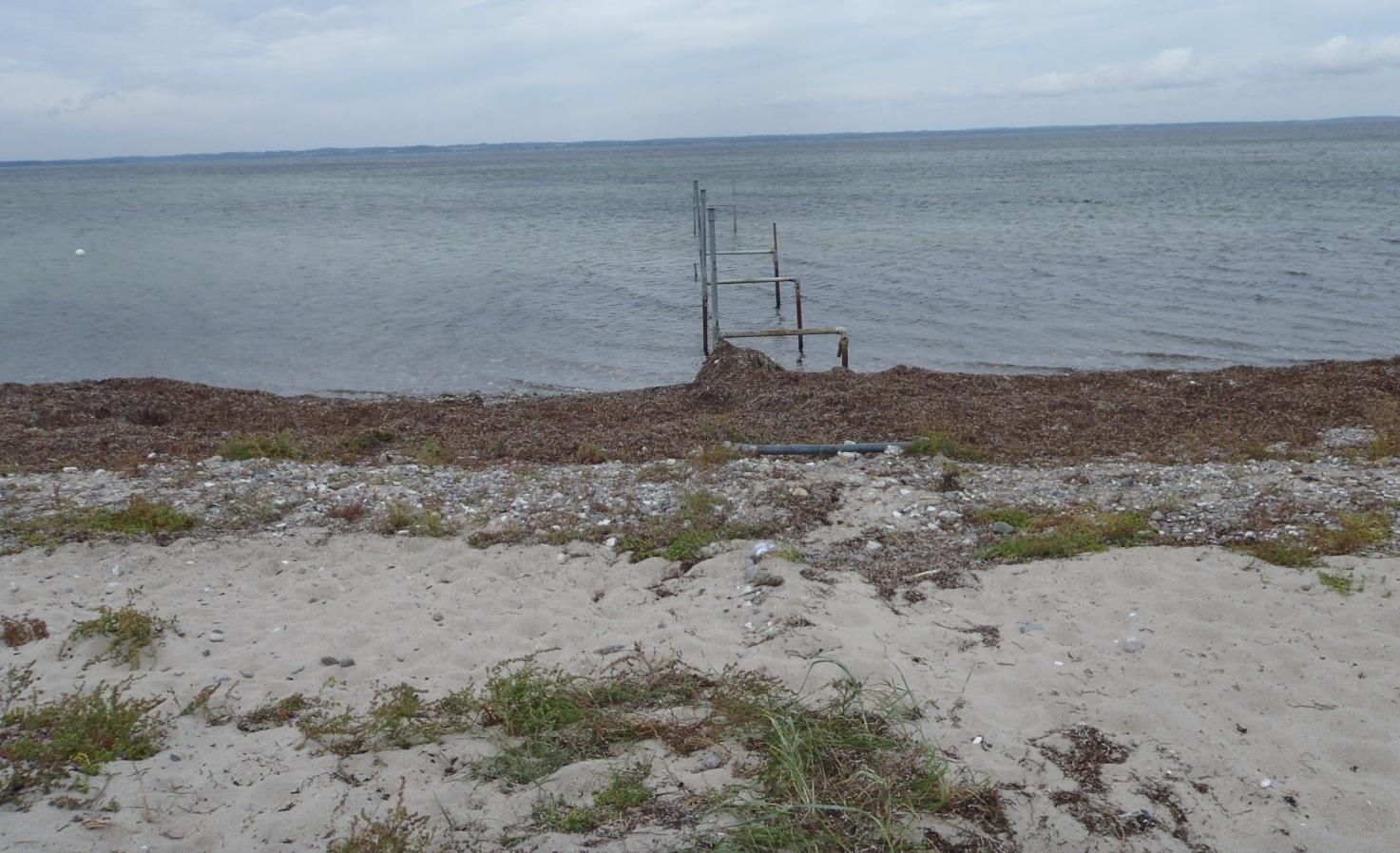 Helletofte N