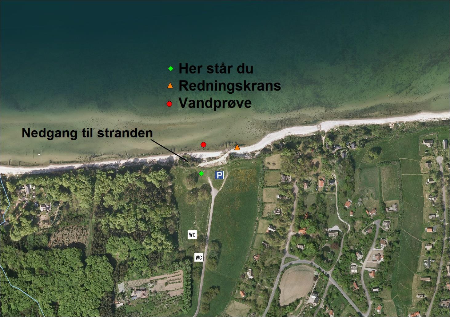 Båring Ege