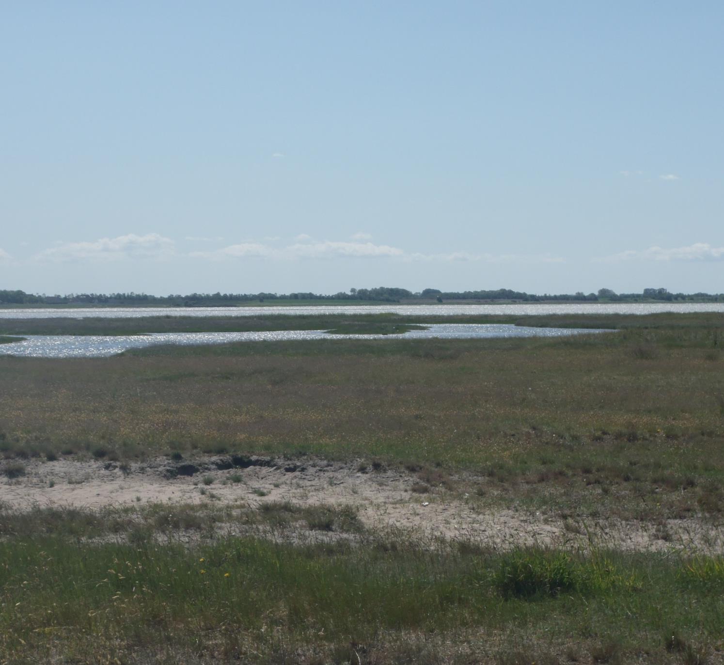 Flyvesandet