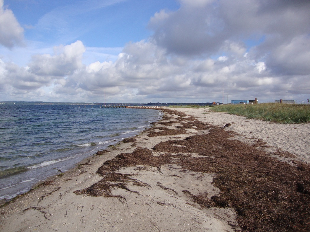 Brunsnæs