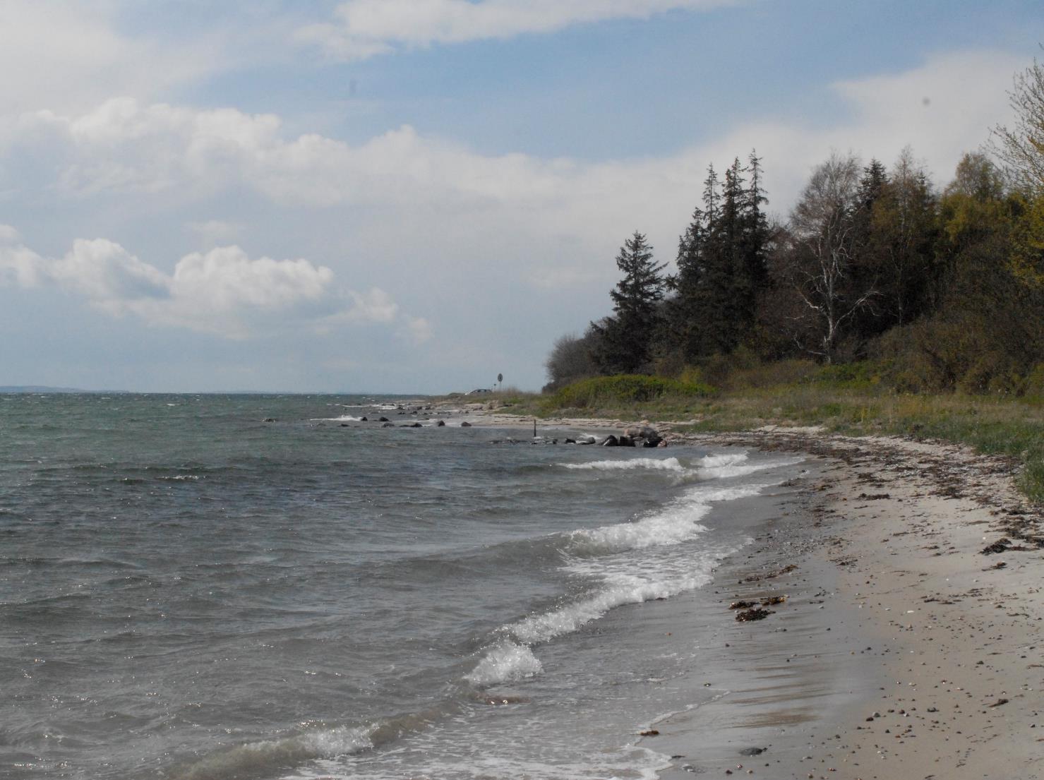 Lehnskov