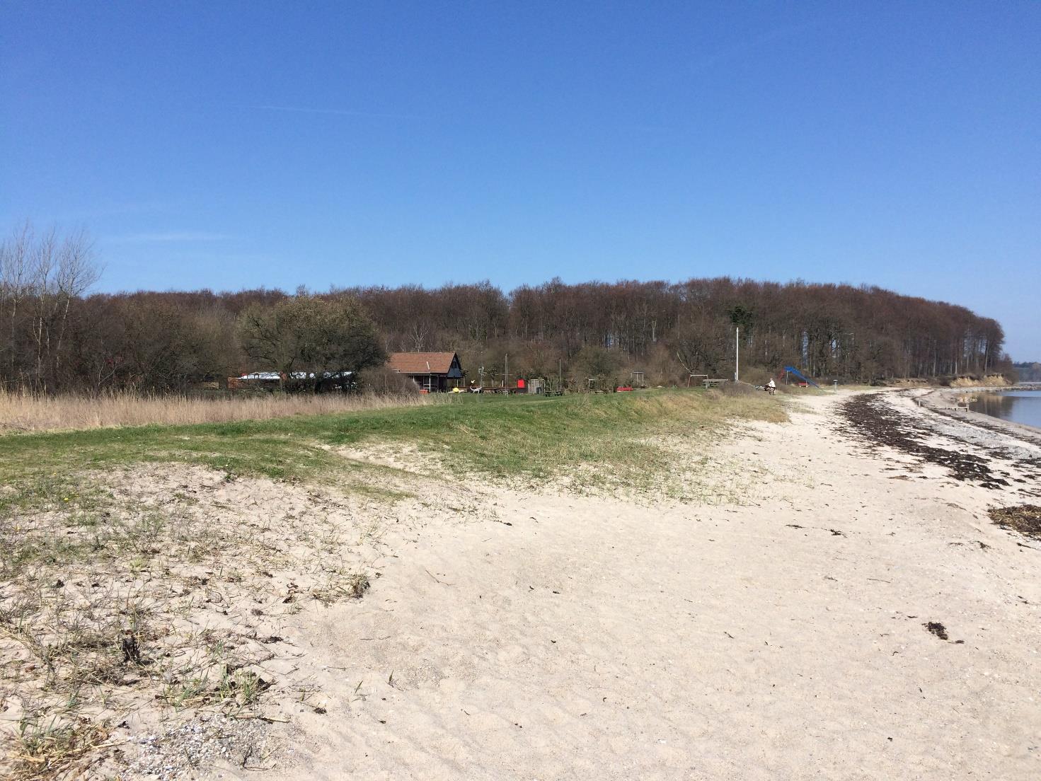 Øgavl 50m Ø