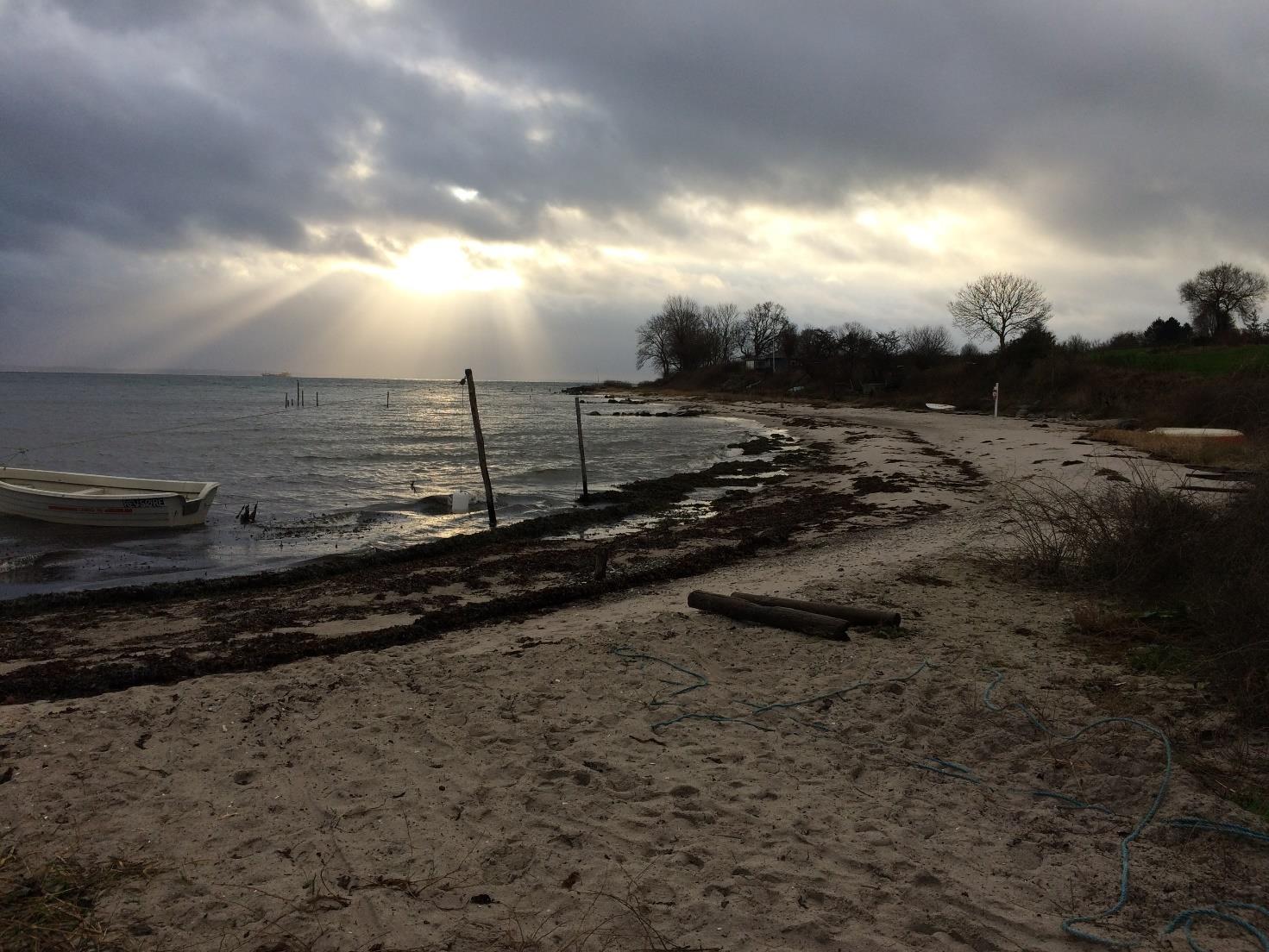 Revsøre N