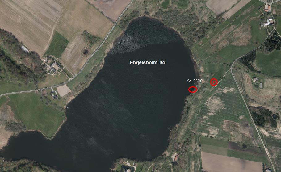 Engelsholm Sø